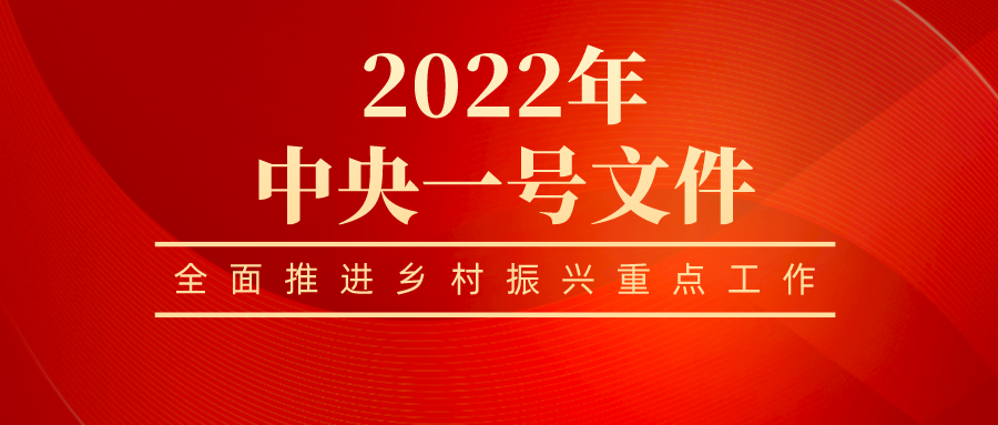 國新辦發(fā)布會(huì)解讀中央一號(hào)文件：鄉(xiāng)村振興求好不求快