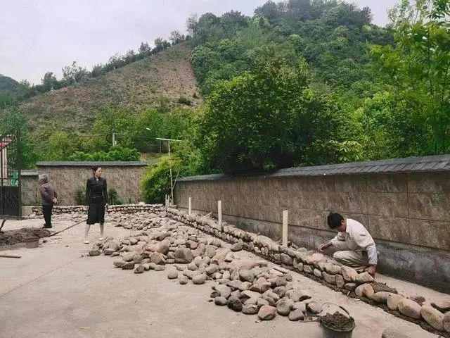 共富“重頭戲”！臨安朱灣村與九耕“牽手”打造“五星生態(tài)農(nóng)場”