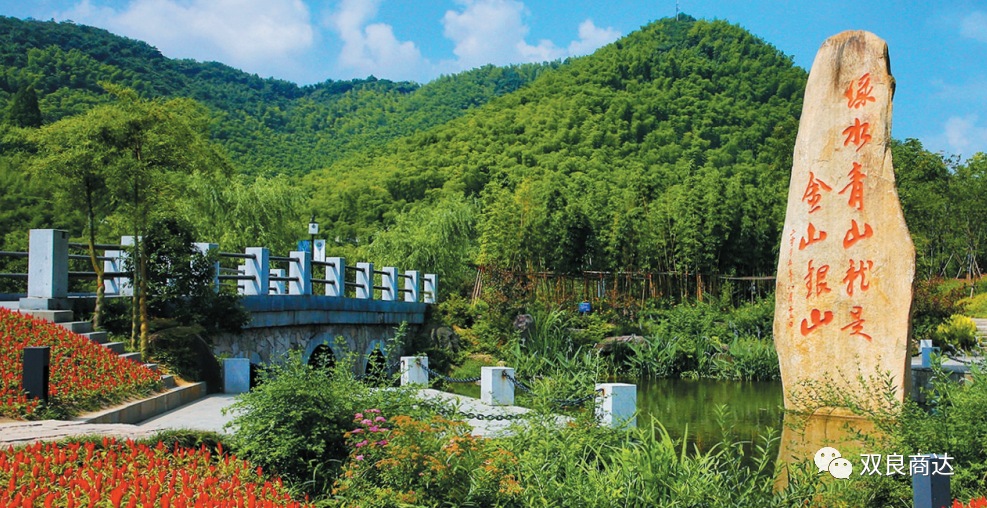 臥虎藏龍取景地，安吉大竹海！商達(dá)五鶴村農(nóng)村污水示范站點(diǎn)投入試運(yùn)行