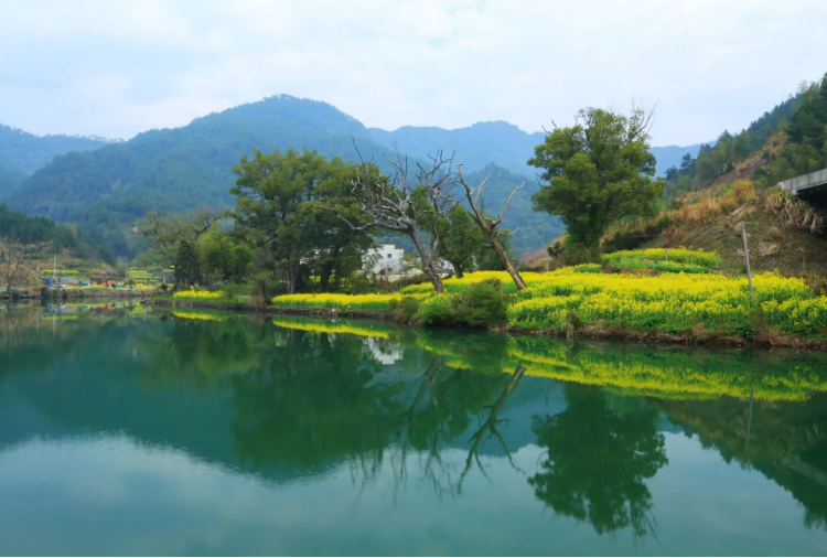 我國農村生活污水治理政策法律體系發(fā)展現(xiàn)狀與建議