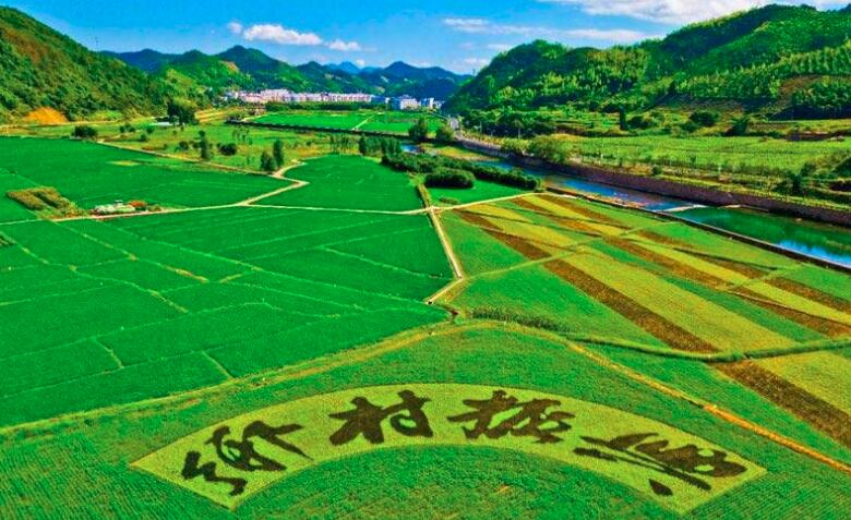 鄉(xiāng)村振興規(guī)劃實施進展如何？這場發(fā)布會劃重點：系統(tǒng)治理優(yōu)生態(tài)