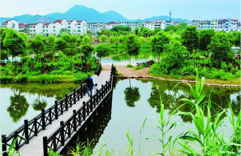 《中國環(huán)境報(bào)》頭版頭條：浙江構(gòu)建降碳、減污、擴(kuò)綠、增長整體智治體系
