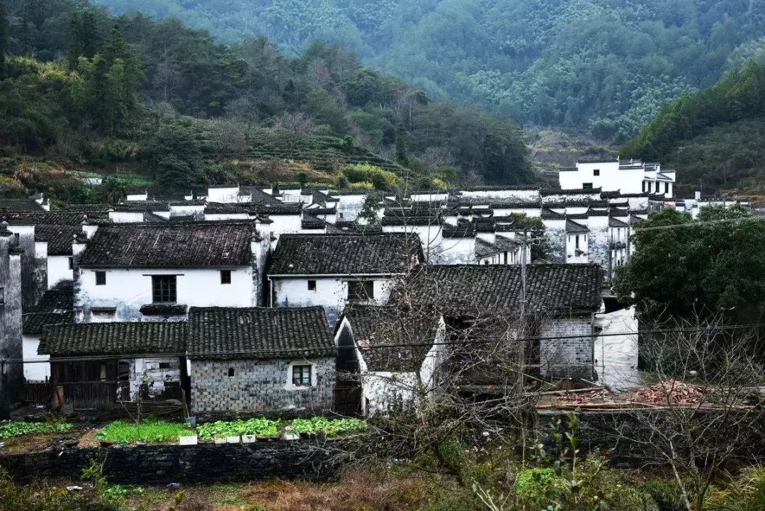 七部門明確！在農(nóng)村人居環(huán)境整治提升中統(tǒng)籌考慮減污降碳要求