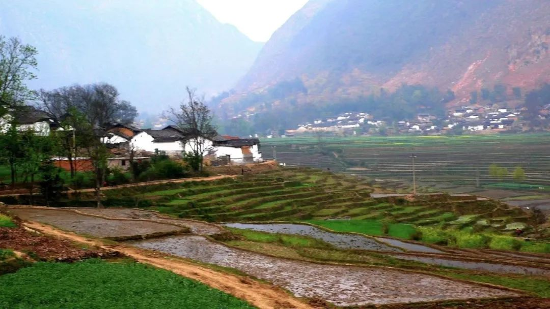 濟(jì)寧：農(nóng)村污水治理全域統(tǒng)籌，提升治理水平