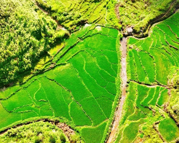 中共中央辦公廳　國務院辦公廳關(guān)于加強耕地保護提升耕地質(zhì)量完善占補平衡的意見（全文）