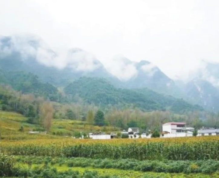 甘肅?。恨r(nóng)村生活污水治理（管控）率達(dá)到29.47%以上