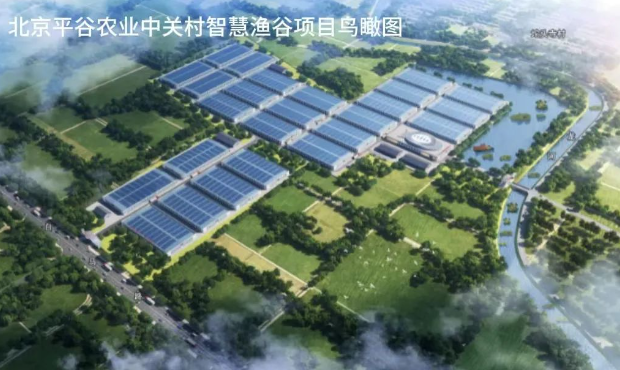 山東公用設(shè)施漁業(yè)公司與北京平谷農(nóng)業(yè)中關(guān)村攜手打造高標(biāo)準(zhǔn)RAS循環(huán)水工廠(chǎng)化養(yǎng)殖“智慧漁谷”